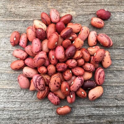 Vermont Cranberry Beans