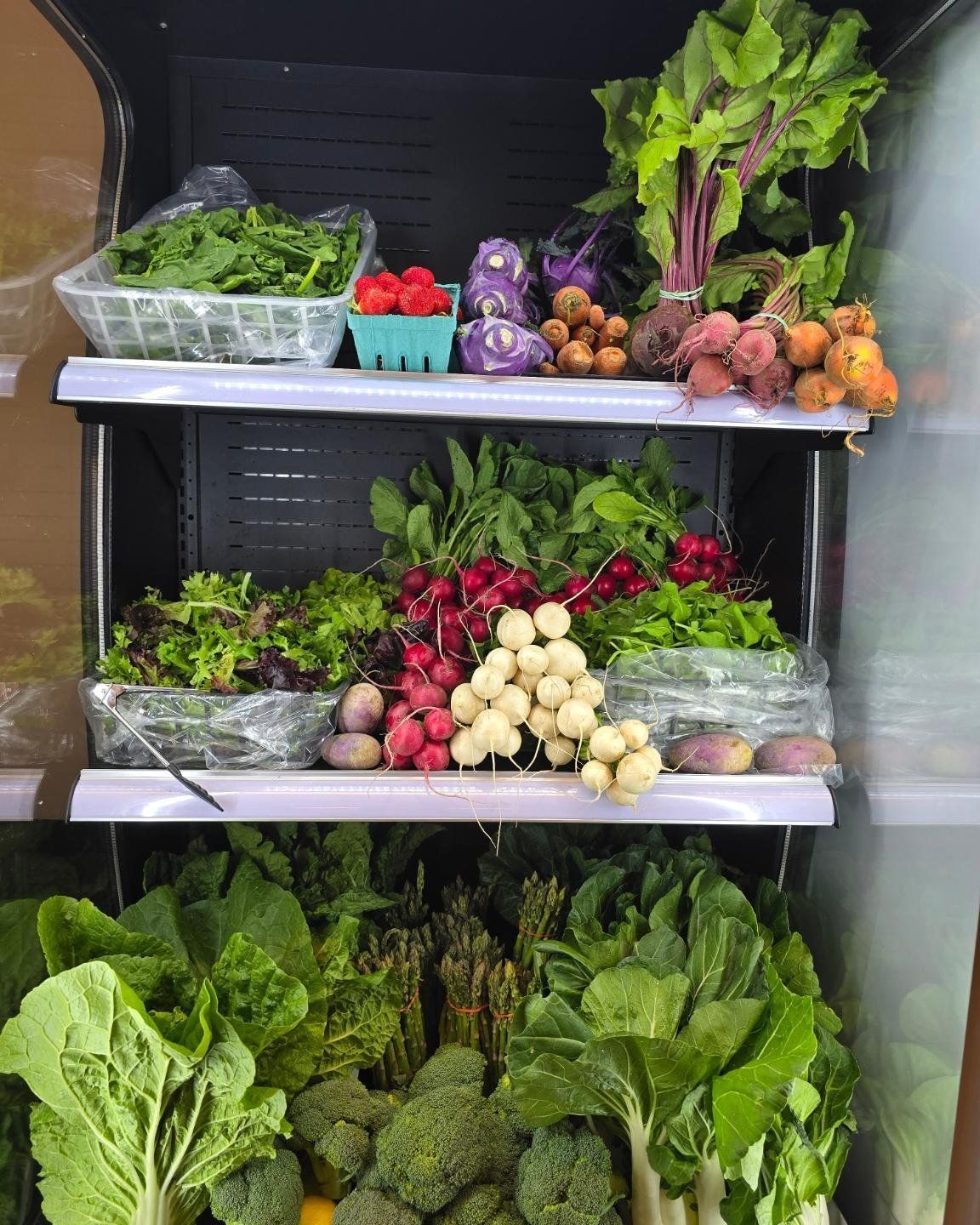 Hakurei Salad Turnips