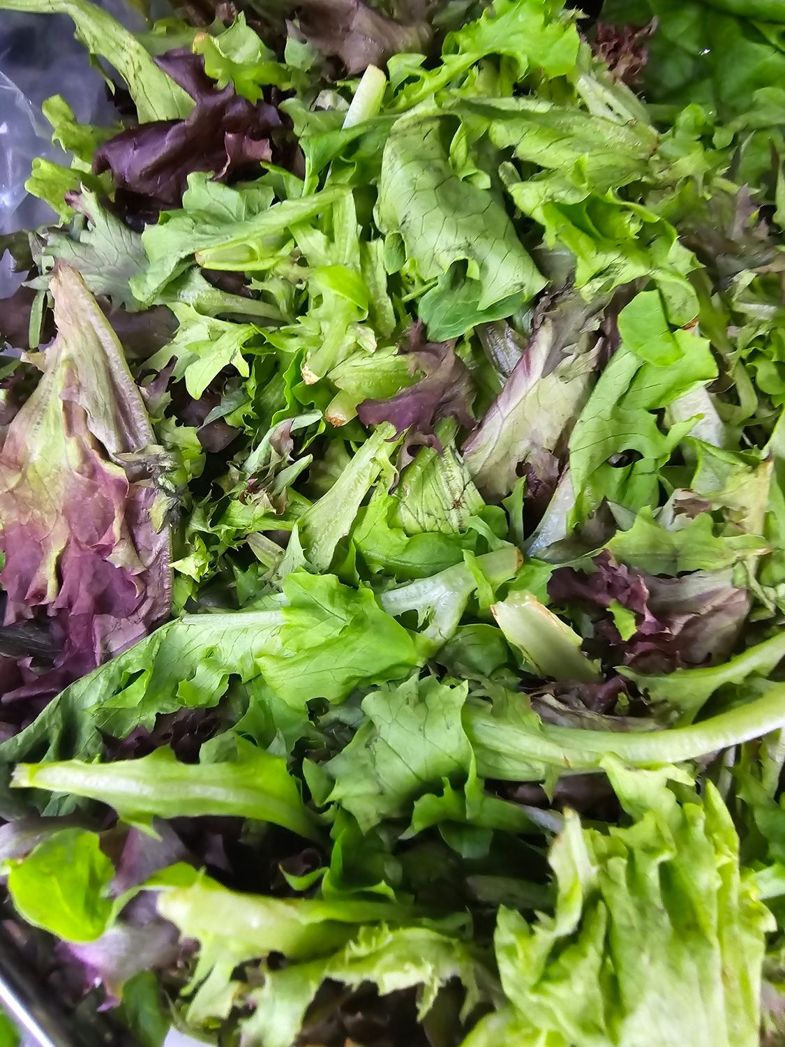 Salad Mix (Lettuce)