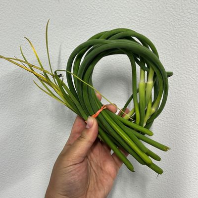 Garlic Scapes