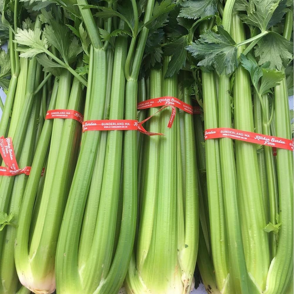Celery