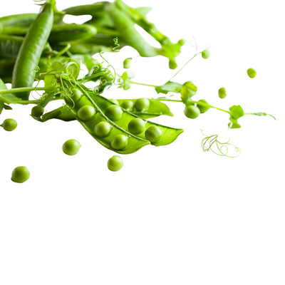 Shelling Peas