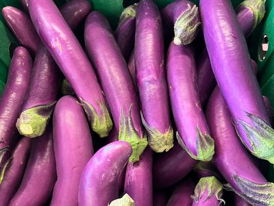 Japanese Eggplant (Aubergine)