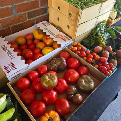 Heirloom Tomatoes