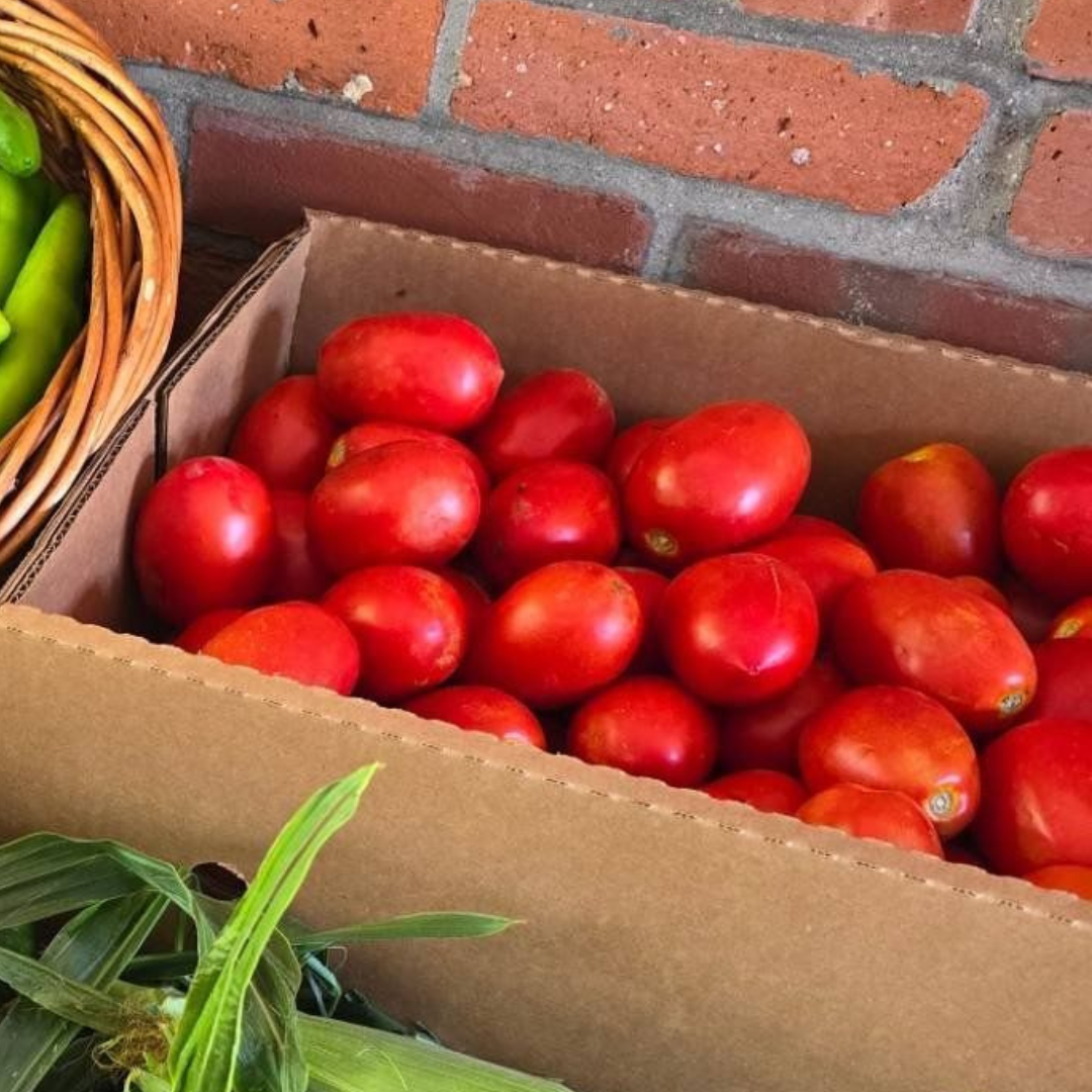 Sauce Tomatoes (Roma or San Marzano)