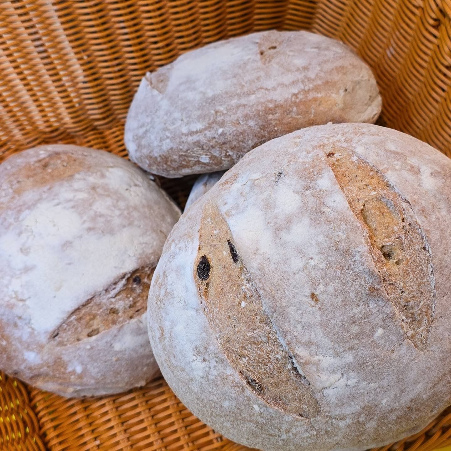 Roasted Garlic Rosemary Bread