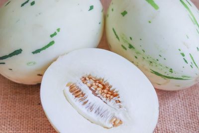 Snow Leopard Melon