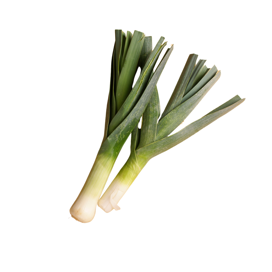 Leek