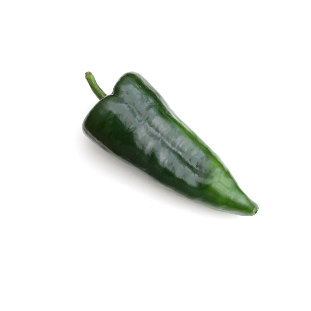Poblano Pepper