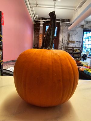 Sugar Pumpkin
