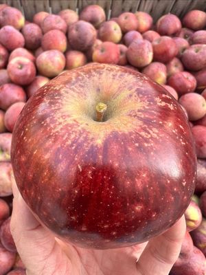 Subscribe & Save: Heirloom Apples Subscribe & Save: Heirloom Apples