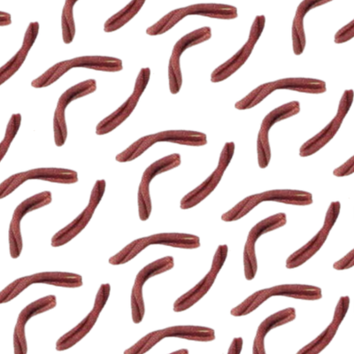 Dry Pasta: Red Chili Cassarece