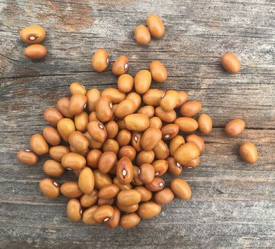 Marfax Beans