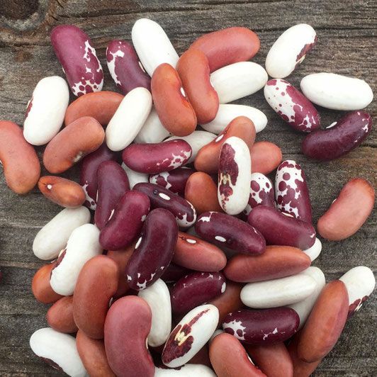 Chili Bean Mix