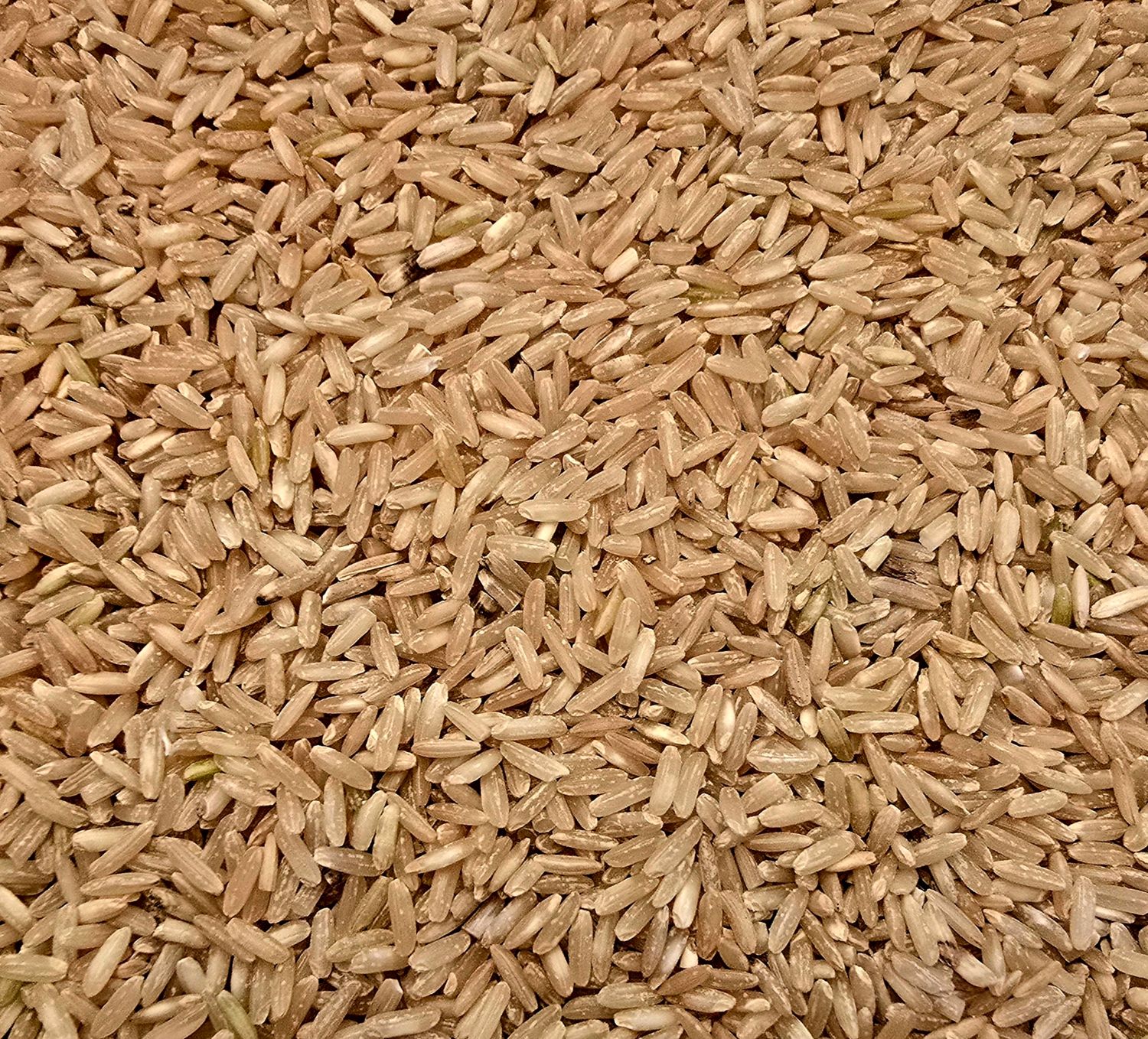 Long-Grain Brown Rice