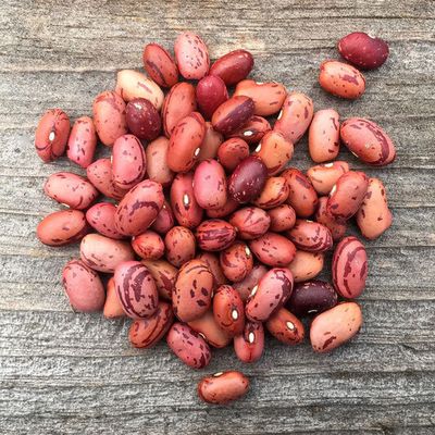 SALE Vermont Cranberry Beans