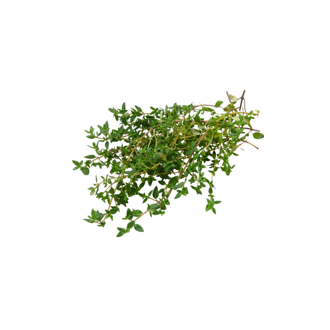 Thyme