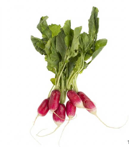 French Breakfast Radishes
