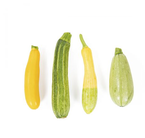 Summer Squash