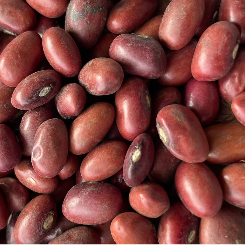Red Merlot Beans