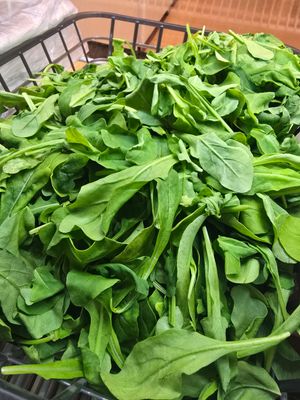 Arugula Lettuce