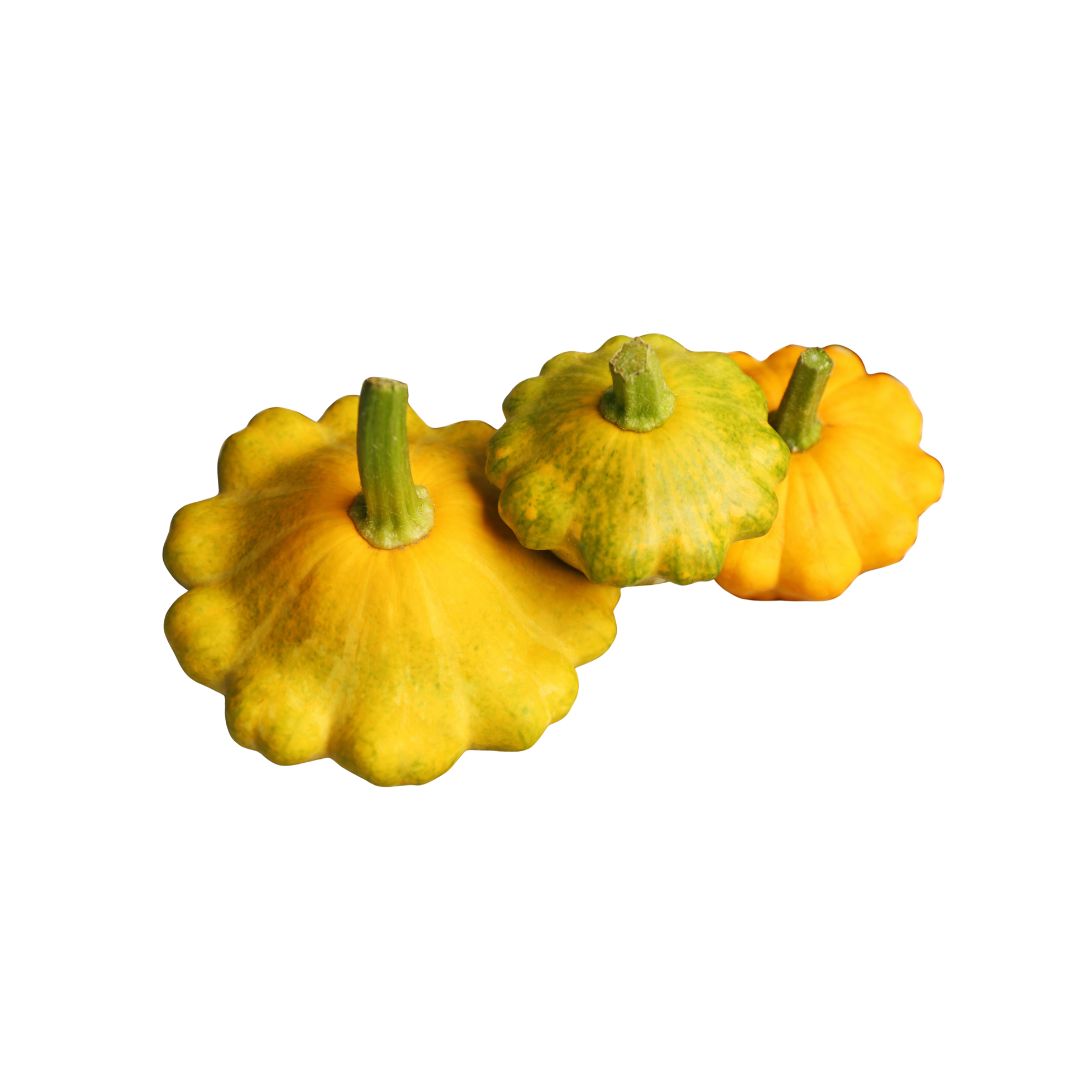Patty Pan Squash