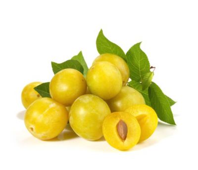 Plums (Shiro)
