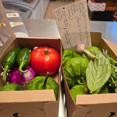 DIY Salsa Verde Kit