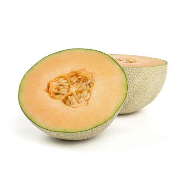 Cantaloupe