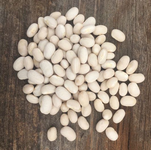 Otebo Beans
