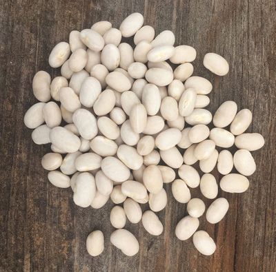 Otebo Beans