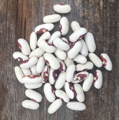 Soldier Beans