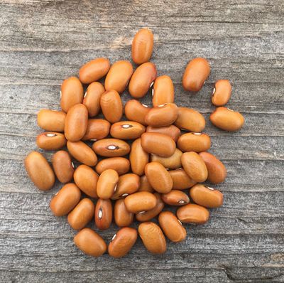 Swedish Brown Beans