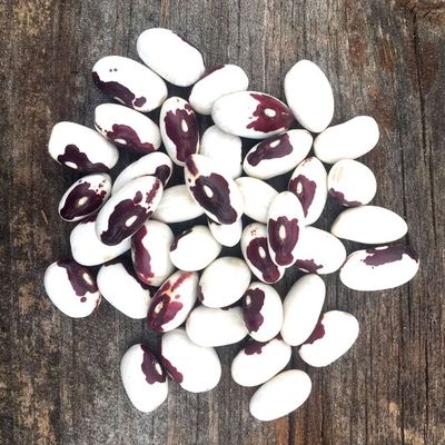 Bumblebee Beans