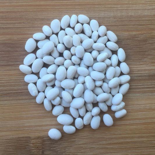 Navy Beans