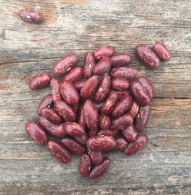 Scarlet Beauty Beans