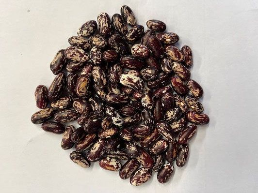 Money Beans
