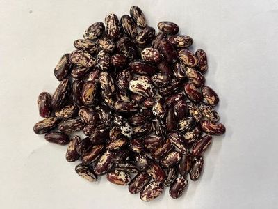 Money Beans