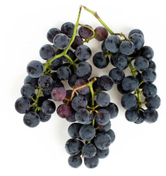 Grapes, Concord