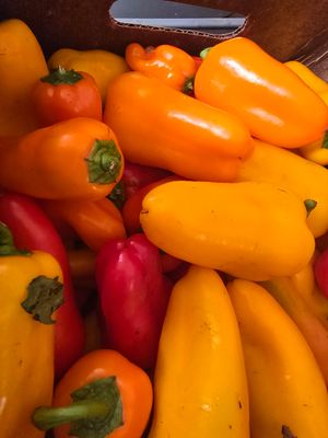 Lunchbox Peppers