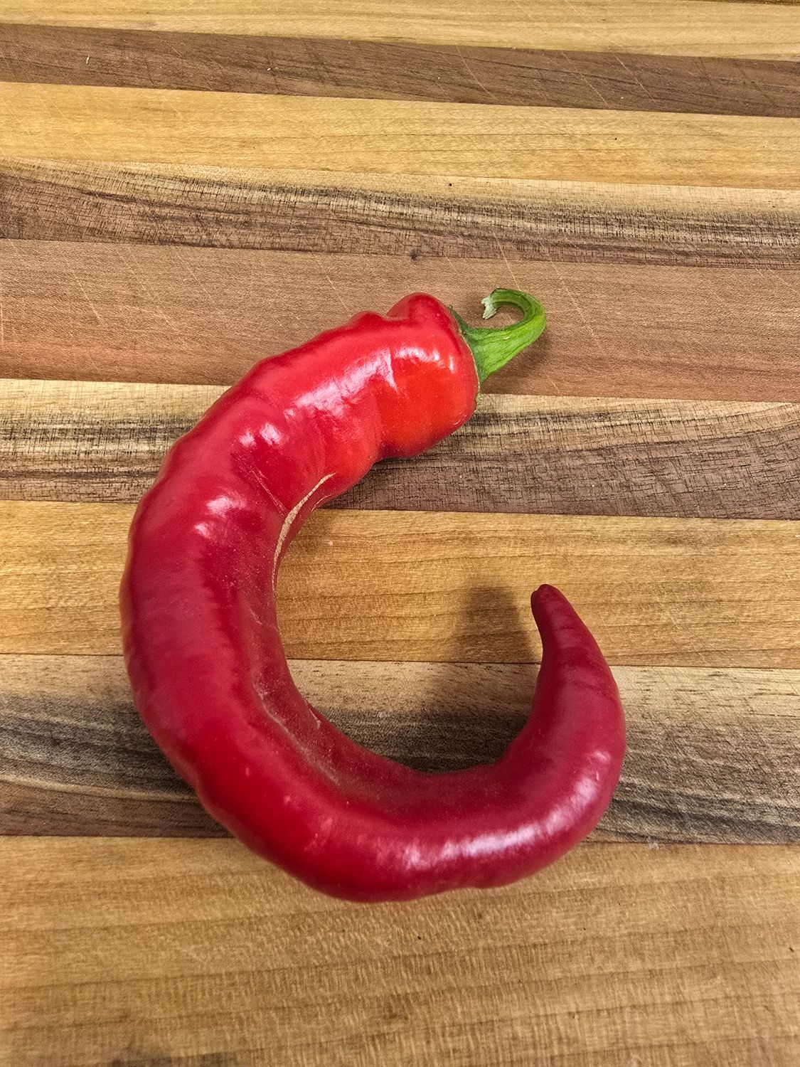 Jimmy Nardello Pepper