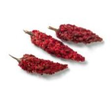 Fresh Sumac Clusters