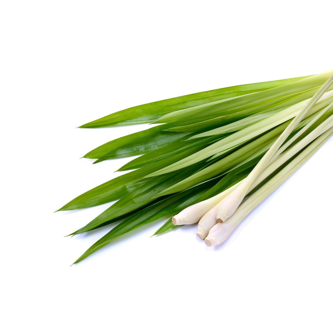 Lemongrass