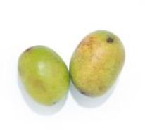 Pawpaws
