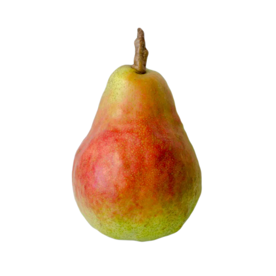 Pears, Shenandoah