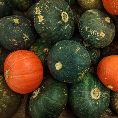Kabocha Squash