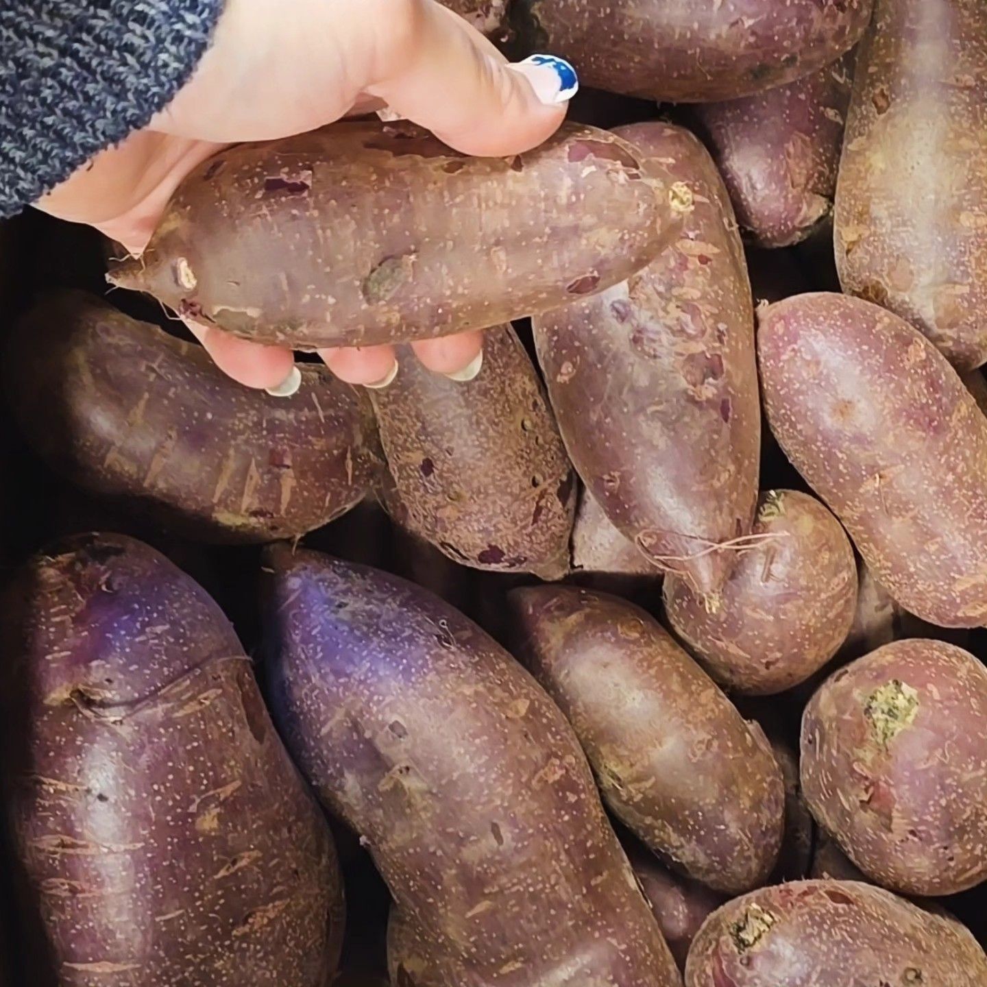Sweet Potatoes (Purple) Sweet Potatoes (Purple)