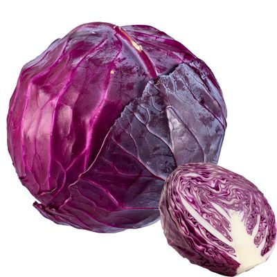 Red Cabbage