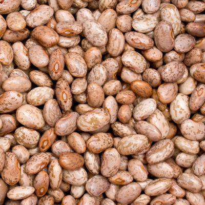 Pinto Beans