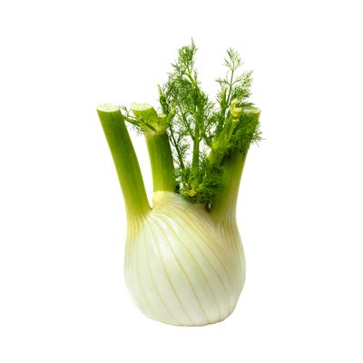 Fennel